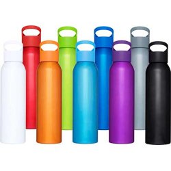 Sky drikkeflaske - aluminium - 650 ml.