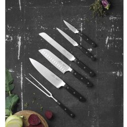 Lion Sabatier Pluton knivst - 6 dele