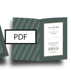 DIGITAL YOUR GIFTS GAVEKORT - kr. 560