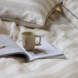 Sdahl Sengest beige - Ray