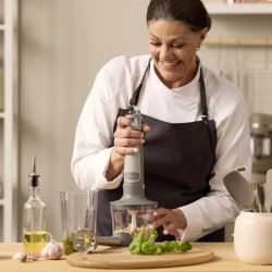 Blomsterbergs Stavblenders�t 1000 watt