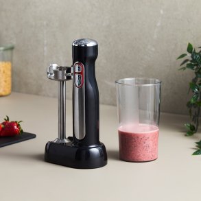 Hws ledningsfri stavblender