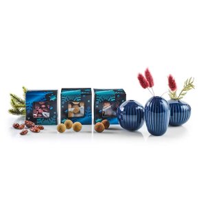 Minivaser & sde sager