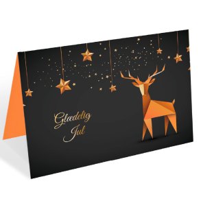 Veya gavebevis kr. 370- Royal