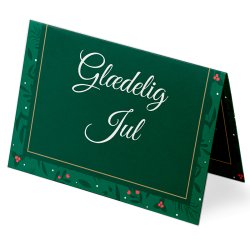 Veya gavebevis kr. 490-  Extravagance