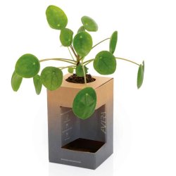 Avira Alya termokrus - genanvendt RCS rustfrit stl - 300 ml.